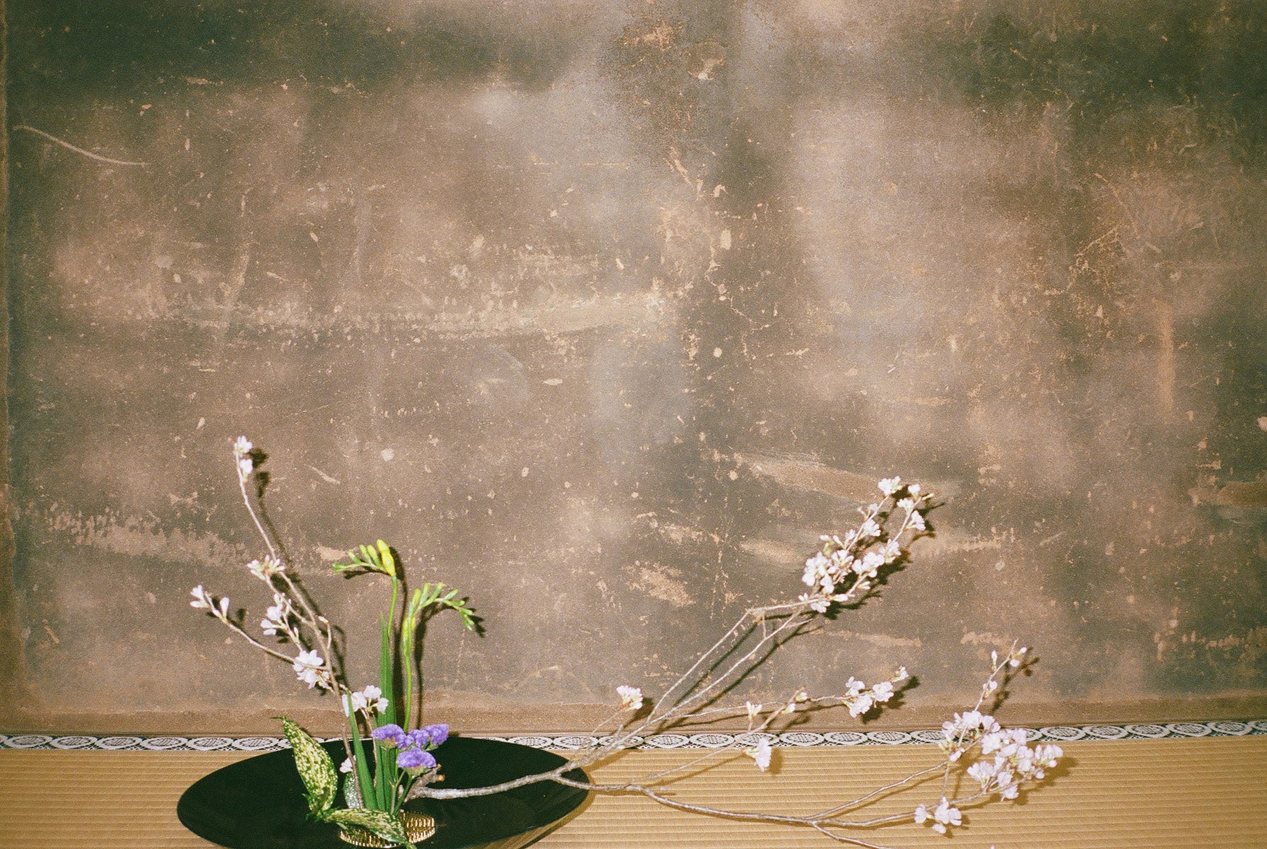 Ulla Johnson Natural Splendor