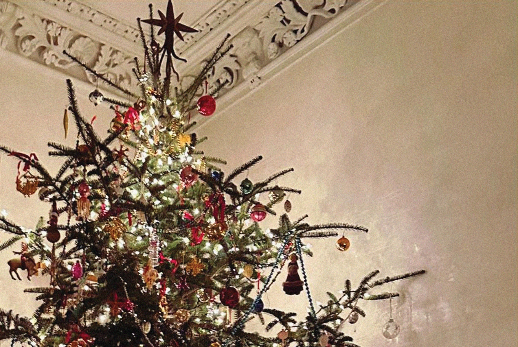 Ulla Johnson Welcome Christmas!