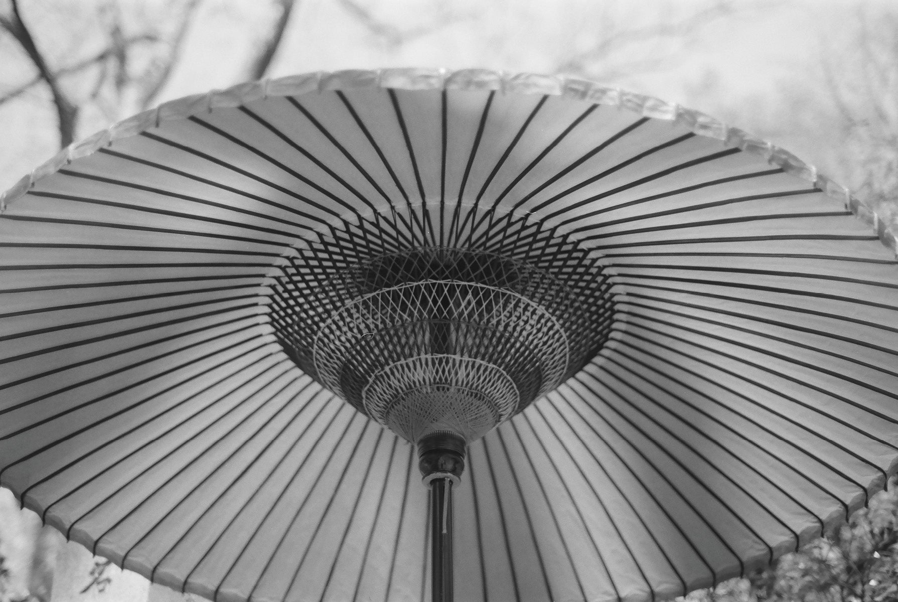 Ulla Johnson Ulla's Guide: Japan