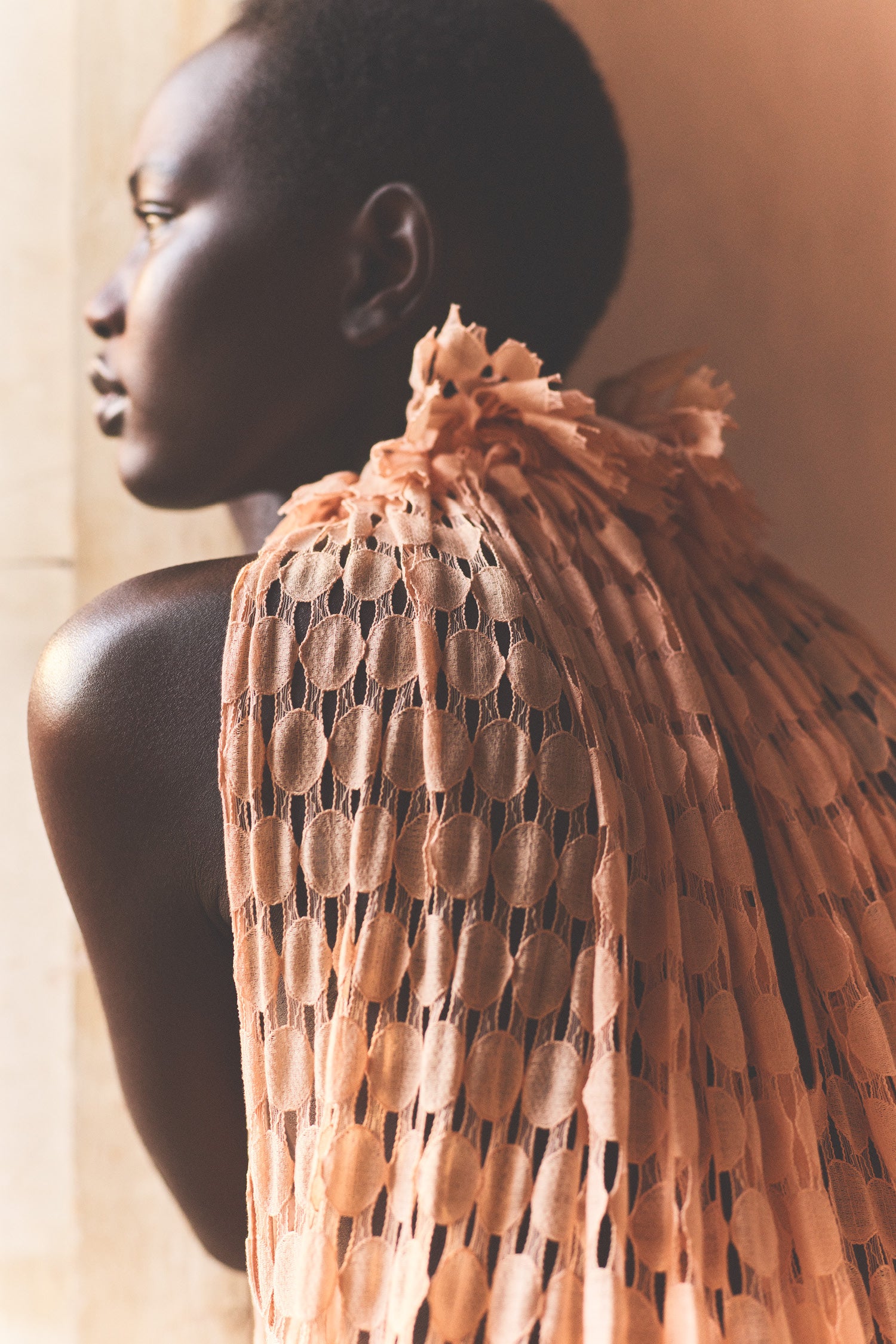 Anouk Lace High Neck Gown - Blush