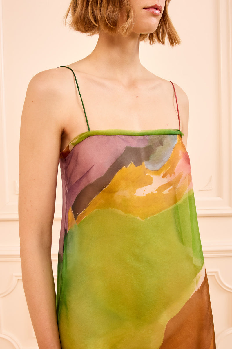 Landscape Organza Dress - Nature Abhors A Vacuum Sleeveless Midi