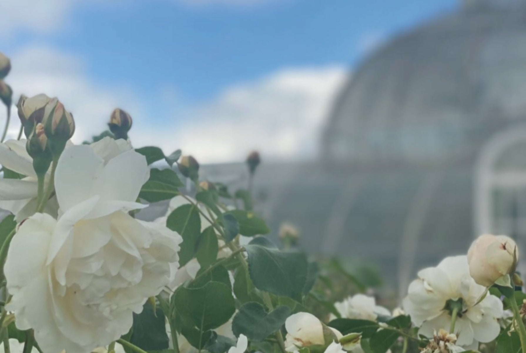 Ulla Johnson Ulla's Guide: London