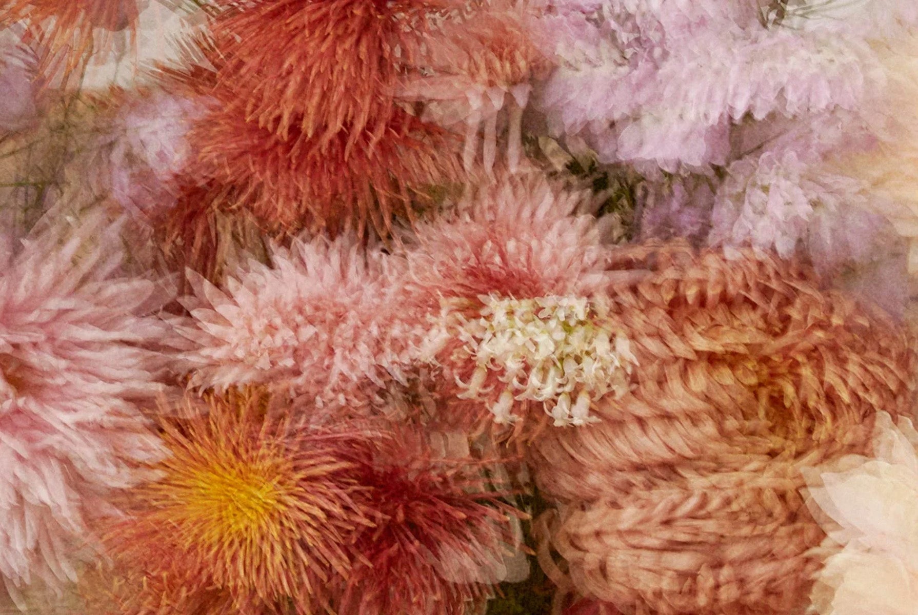 Ulla Johnson SS21 Handbags – Made in Italy