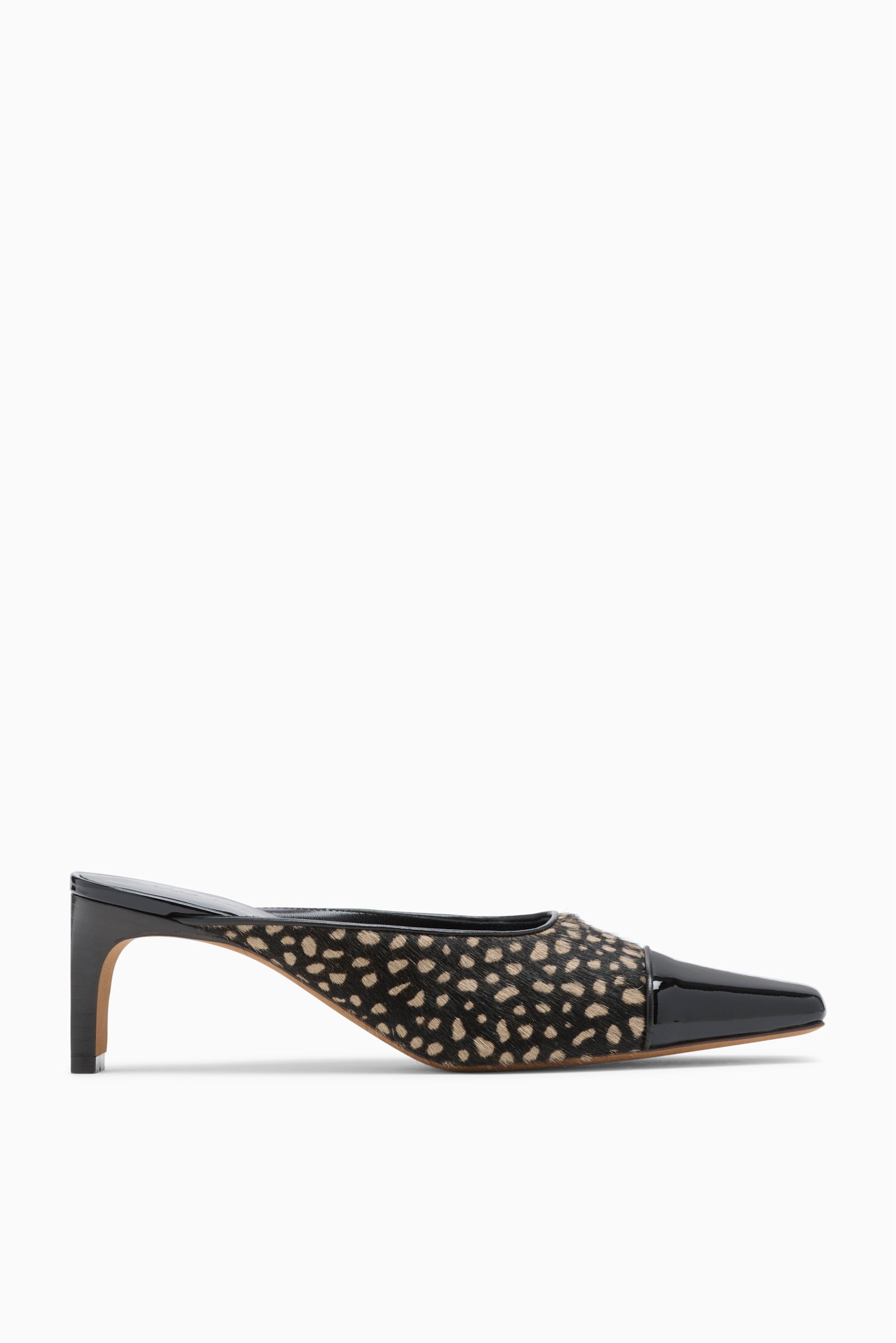 Carlyle Mule Spotted