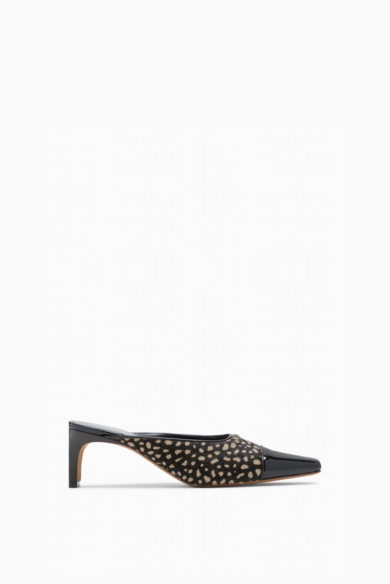 Carlyle Mule - Spotted