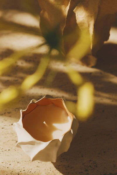 ULLA Celadon Designer Candle in Ceramic Bloom Vessel - Lifestyle Close-Up with Botanicals | Ulla Johnson