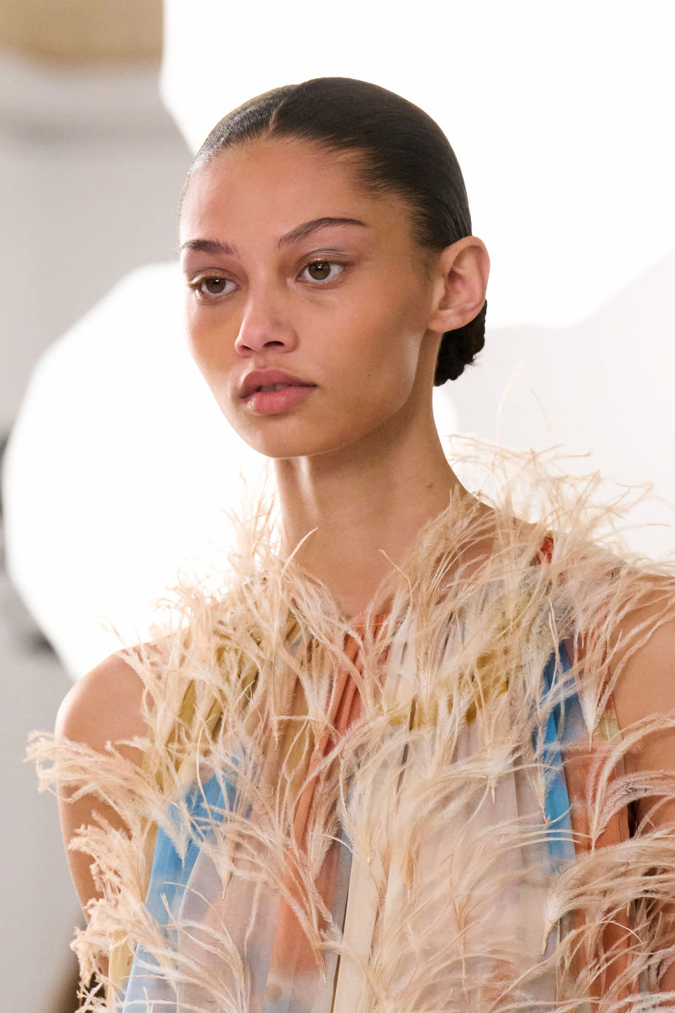 Gossamer Gown with Feather Embroidery - Western Dream