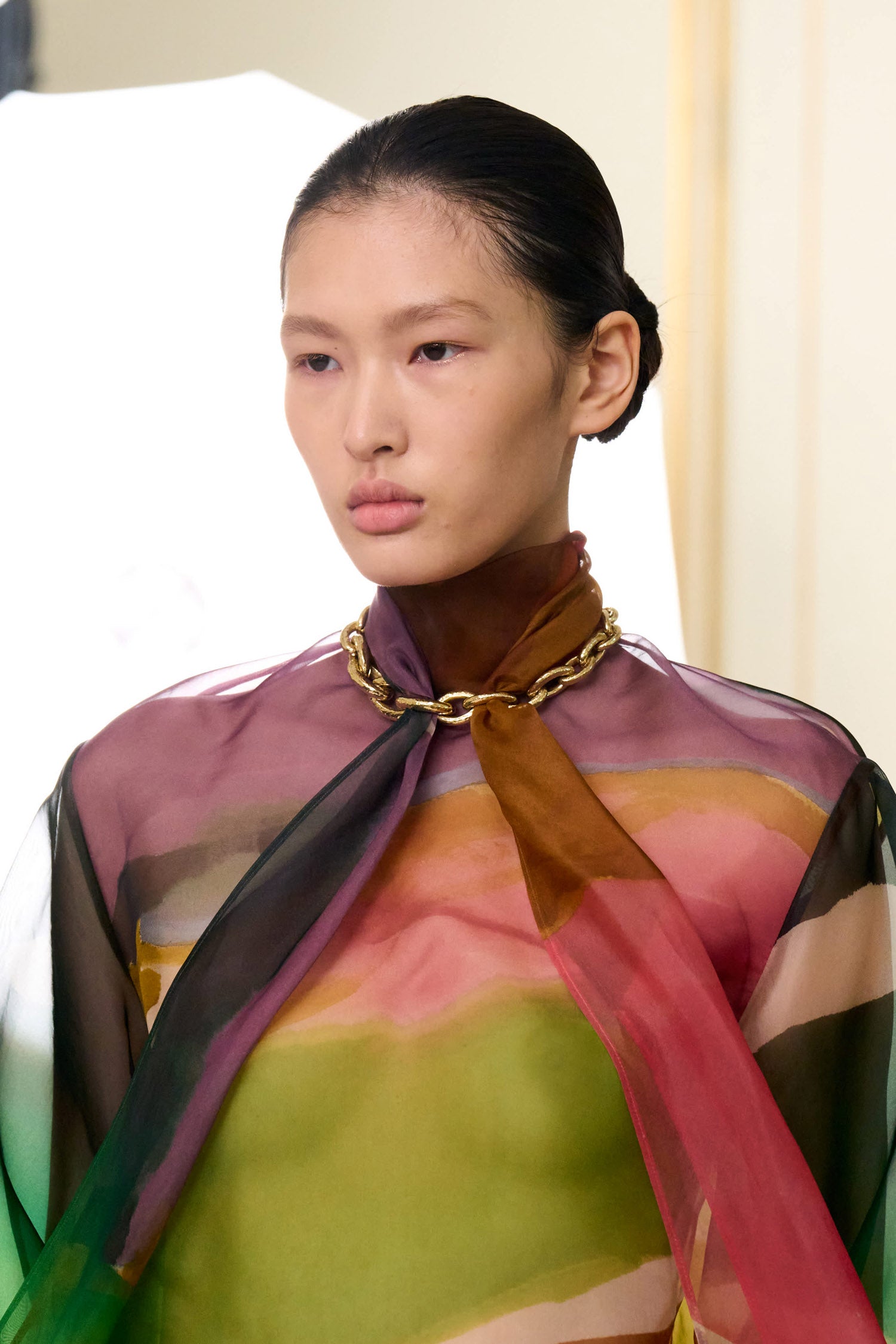 Anisa LS Organza Blouse - Nature Abhors A Vacuum